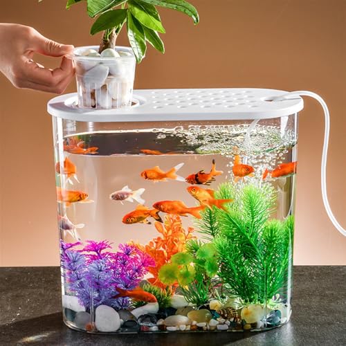 Aquariums Fish Bowl Transparent Acrylic Fish Tank with Breathable Lid and Easy to Move Carrying Handle Living Room Office Desktop Decorative Fish Tank Planter Fish Tanks(White) - color: White