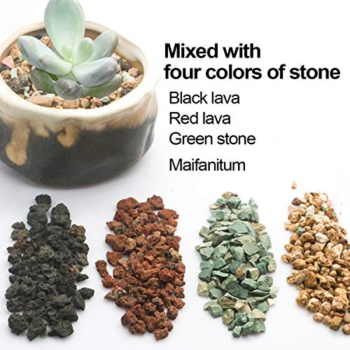Mix Horticultural Lava Pebbles Pumice Potting Soil Amendment Succulent Cactus Bonsai Gritty Rock Decorative Gravel Plant Drainage Volcanic Rock for Terrarium Fairy Gardening Top Dressing 2.2lb - color: Multi, size: 2.2 lb
