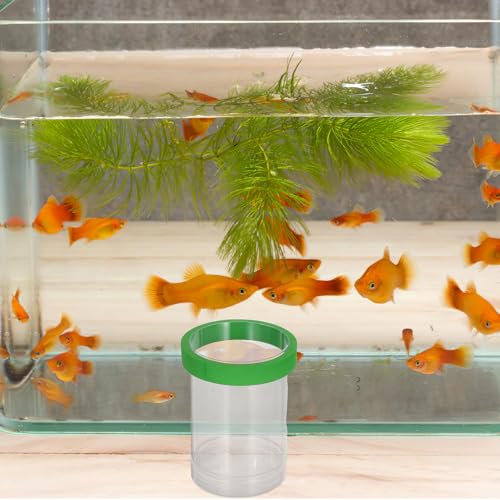 KOMBIUDA Floating Fish Tank Breeding Box Isolation Incubator with Net – Small Green Aquarium Fish Egg Hatching and Guppy Fry Nursery for Home Aquariums