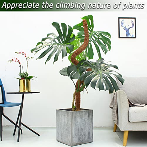 48 Inch Moss Pole, Bendable Moss Pole for Plants Monstera, Tall Moss Poles for Climbing Plants Indoor, Large Moss Pole Support, Garden Trellis Plant Stick Stakes for Potted Plants, Pothos - color: 48 Inch