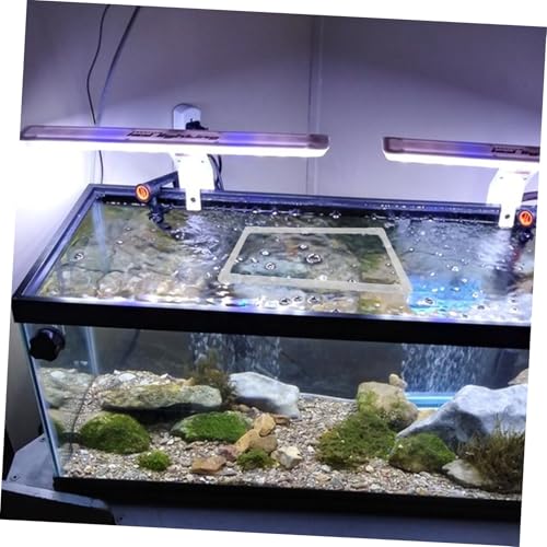 SOLUSTRE 1 Set Floating Plant Rings for Aquariums of Fish Tank Feeding Rings with Suction Cup Versatile Design for Easy Installation and Feeding of Aquatic Plants Fish Tanks