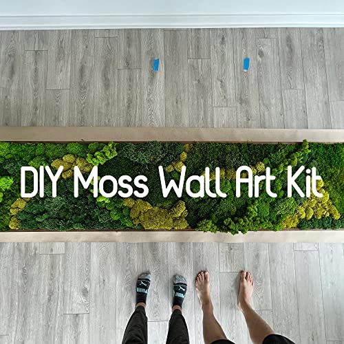 Preserved Sheet Moss Natural Green Decorative Real Natural Green DIY Kit Gardenning Art Wall Decor Florist Decor Easter Table Decor Wedding 2 sq.ft.Green-B - color: Green-b, size: 2.0 sq.ft.