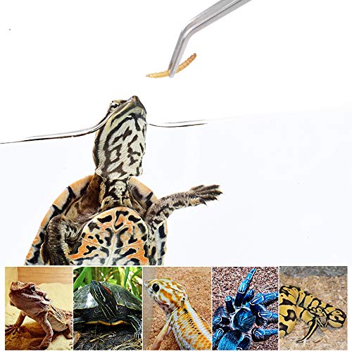 2Pcs Stainless Steel Reptile Feeding Long Tongs Tweezers for Reptile, Lizards, Gecko, Spider, Tarantula, Hedgehog, Snake, Aquarium