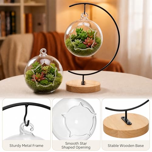 4.7" Hanging Glass Terrarium Globe with Stand for Air Plants Succulents & Desktop Decor, Small Floating Garden for Desks, Shelves, Windowsills, Offices, and Plant Lover