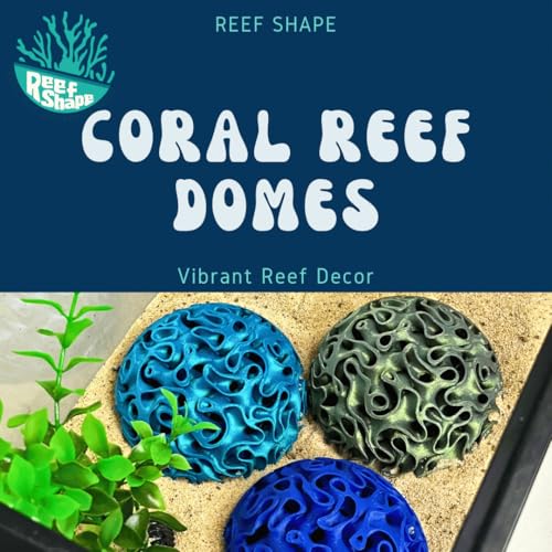 REEFSHAPE Aquarium Coral Reef Dome - Aquarium Reef Replica for Fish Shelter & Egg Laying - Aquarium Safe Dome Structure for Fish Shrimp & Aquatic Pets (Aurora Green)