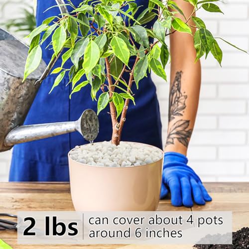 YISZM 2LB Succulent and Cactus Gravel Pebbles, 3/8 Inch Natural Decorative Polished Stones, River Rocks for Plants, Vases, Aquariums, Terrarium and Outdoor Gardening, White - color: White, size: 2 Pounds