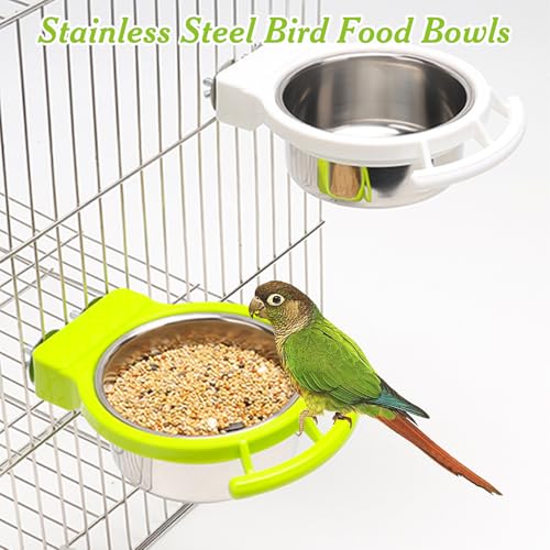 BNOSDM 2 PCS Bird Feeding Dish Cups with Perch Stand Hanging Stainless Steel Bird Bowls Food Container Food and Water Bowls with Spoon for Budgie Cockatoo Finch Lovebirds Pigeons (Green&White) - color: 2 Pcs Green & White