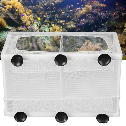 Aquarium Breeder Box with Suction Cups | Detachable Fish Hatchery & Isolation Enclosure | Multi - Functional Incubator for Fry/Unwell Fish/Shrimp | Secure Plastic & Mesh Design (Large with - size: Large with partition