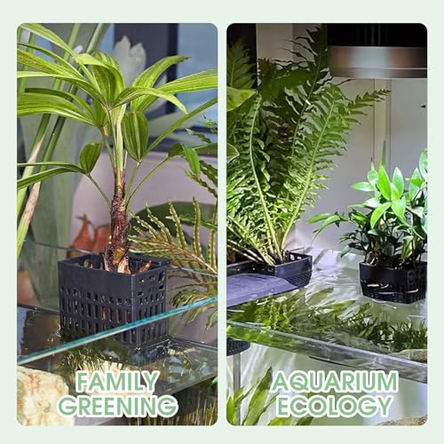 2 Pcs Upgraded Aquarium Plant Holder, Adjustable Hooks and Suction Cups Fish Tank Plant Holder, Fish Tank Aquaponic Cultivation and Aquascape Decorations