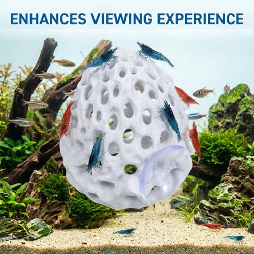 Shrimps Dome Hide Betta Hideout Shrimp Hides for Aquarium Shrimp Cave Realistic Plastic Aquarium Coral Rock Decorations with Suction Cup Aquariums Ornaments Tank Accessories for Fish Hiding & Resting