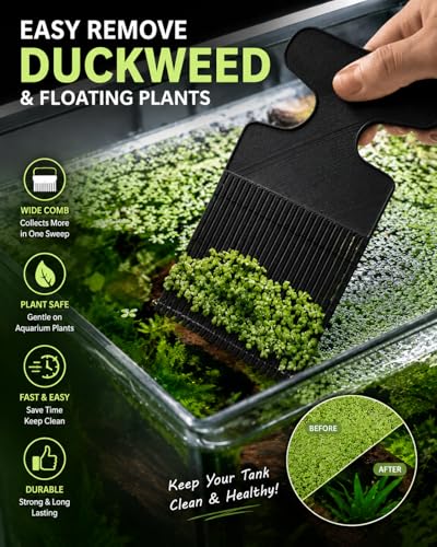 Aquarium Duckweed Removal Tool, 6.5 x 3 inch Floating Plant Comb Spatula, Aquatic Tank Cleaning Tool (Black) - color: Black