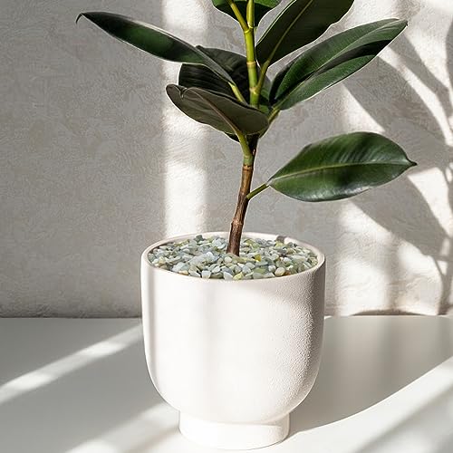 YISZM 10LB Succulent and Cactus Pebbles, 1/5 Inch Jade Natural Decorative Polished Stones, River Rocks for Plants, Vases and Outdoor Gardening,Green - color: Jade, size: 10 Pounds