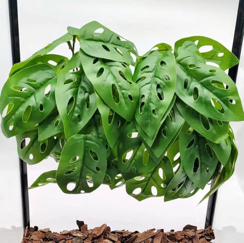 Reptile Plants for Terrarium Decor, Amphibian Habitat Decor, Reptile Tank Accessories, Artificial Hanging Plants with Suction Cup-2 Packs (Swiss Cheese) - color: Swiss Cheese