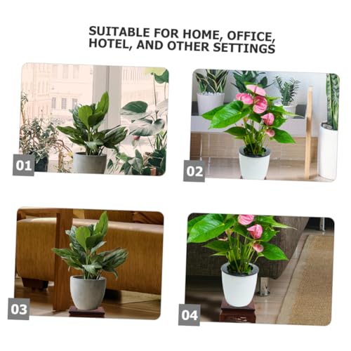 Zerodeko Square Wooden Pedestal Stand Sturdy Vase Base for Indoor Plants Fish Tanks and Decorative Displays Multipurpose Showcase Holder Smooth Finish and Detailed Carvings