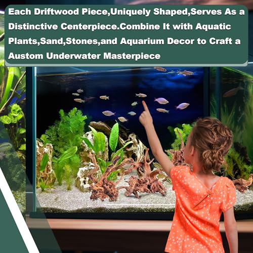 Natural Wood Driftwood for Aquarium Fish Tank Decor,Assorted Driftwood Trunk Branch for Reptile Tank Decor (LLM-Driftwood (10 to 12 Inch)-Pack of 2) - color: LLM-Driftwood (10 to 12 Inch)-Pack of 2