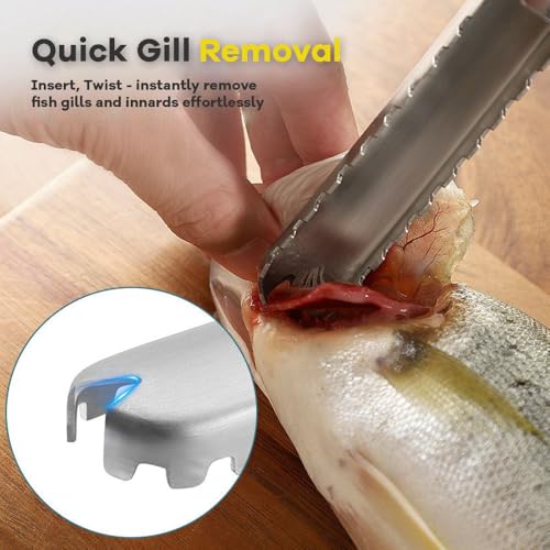 2PCS Fish Scaler, Thickened Stainless Steel Fish Scale Remover, Efficient Fish Scaler Remover No Mess, Sturdy Fish Descaler Tool with Non-Slip Handle, Fish Scaler Tool, Fish Scraper