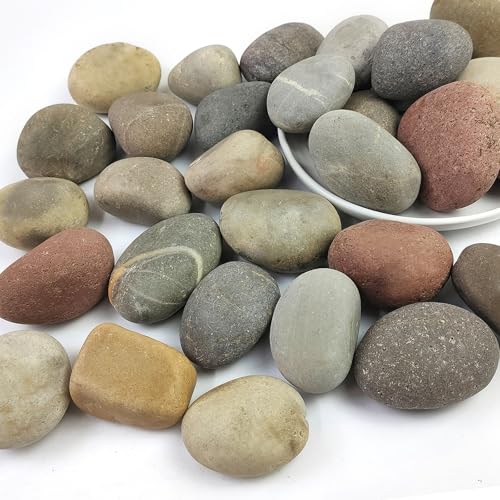 Natural River Rocks, 2-3 Inch River Rocks for Landscaping, Mixed Colors Stones for Plants, Flower Beds, Indoor Fountains, Gardens, Paths, Backyards, Fish Tank and Plantations(40lbs Bulk) - color: Natural Mixed Color, size: 2-3 Inch(40LB)