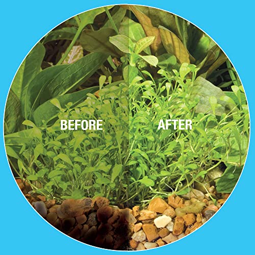 Microbe-Lift Gravel & Substrate Cleaner for Saltwater Aquarium and Freshwater Tanks, Tank Cleaner and Aquarium Water Conditioner, Clarifies Water, Reduces Muck, Aquarium Supplies, 16 Ounces (GSC16) - size: 16 Ounces