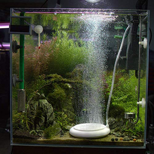 Nano Aquarium Air Stone Kit Fish Tank Bubbler High Oxygen Diffuser Air Stone Disk for Hydroponics Aquarium Shrimp Betta Tank - size: 2inch with 78.7inch airline tube