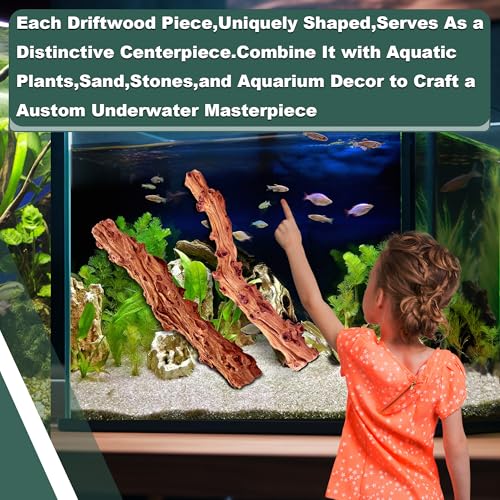 Natural Wood Driftwood for Aquarium Fish Tank Decor,Assorted Driftwood Trunk Branch for Reptile Tank Decor (SLM-Trunk M (13 to15 Inch)-Pack of 2) - color: SLM-Trunk M (13 to15 Inch)-Pack of 2