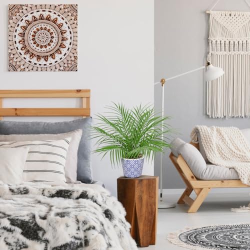 Hollyone Large Artificial Potted Plants Fake Palm Plants 16" Faux Green Plant Plastic Tropical Palm Tree in Blue and White Ceramic Pots Bohemian for Home Room Office House Indoor Decoration - color: 16" Palm Potted-11