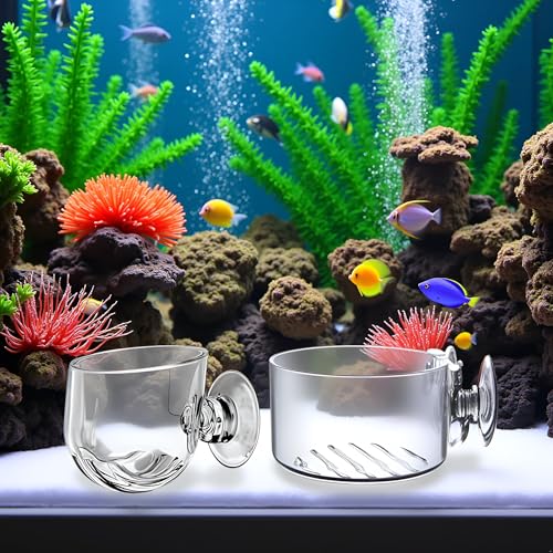 4Pcs Transparent Acrylic Aquatic Plant Cups with Suction - Aquarium Decoration 2 Shapes for Fish Tank Ornament