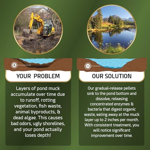 Pond Sludge Remover – 5 Pounds Beneficial Pond Bacteria & Enzyme Treatment - 100% Natural Muck Digester – Safe for All Aquatic Life and Recreation - Made in The USA - size: 10 Scoops