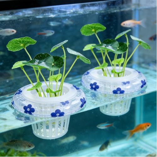 4 Pcs Floating Aquarium Plant Holder, Plant Basket for Aquarium with Floating Rings for Fish Tank Aquaponic Plant Cultivation and Aquarium Decor