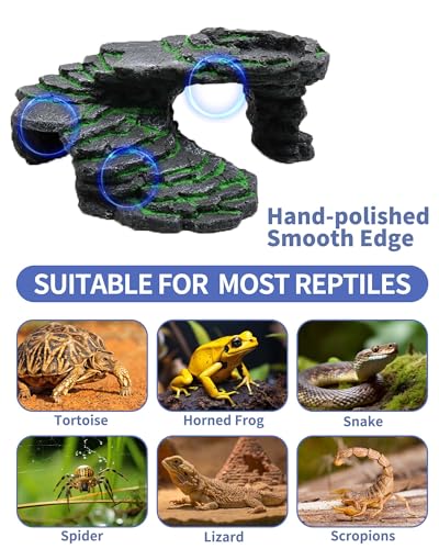 MoonOrange Turtle Basking Platform Kit, Reptile Habitat Hideout, Decorative Resin for Aquarium & Terrarium, Including Artificial Plant and Cleaning Brush. (B-Medium-Black)