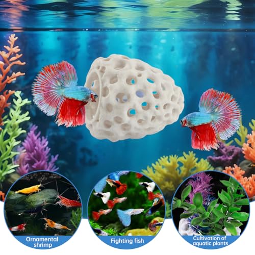 Shrimp Hides for Aquarium Bettas Fish Hideout with Strong Suction Cup - Nano Tank Ornament for Cherry Shrimp(Color:White)