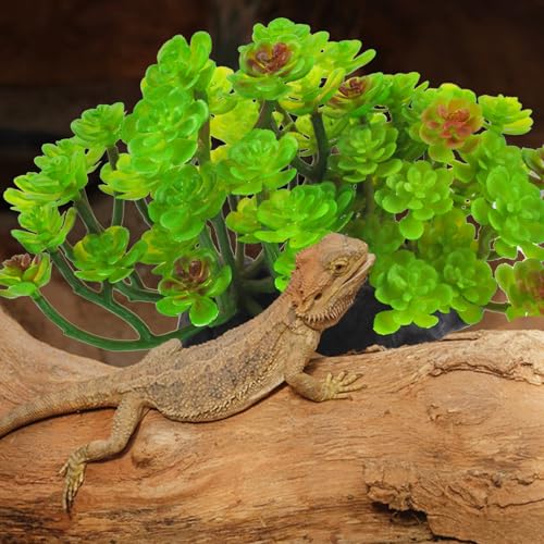 kathson Reptile Plant Succulent,Artificial Plants Aquarium &Terrarium Accessories for Bearded Dragon Crested Leopard Gecko Lizard Chameleon Tortoise Betta Fish Hermit Crab - color: 【succulent】, size: 【1PCS】