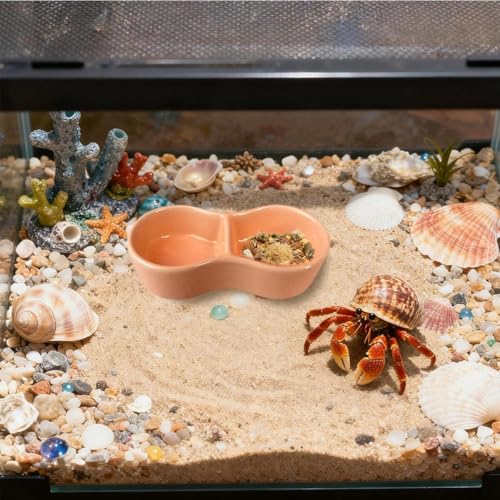 2 PCS Ceramic Hermit Crab Food Dish Reptile Water Dish Hermit Crab Water Bowl Aquarium Accessories for Bearded Dragon Gecko Lizard Snail Frog Turtle Tortoise