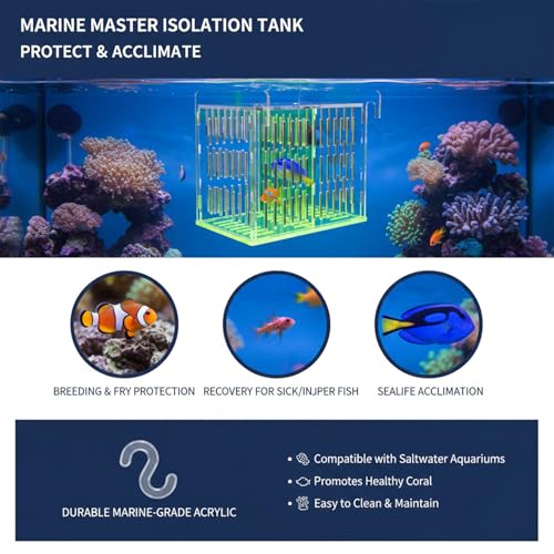 Acrylic Breeding Box for Fish Tank, Aquarium Hatchery Incubator with Long Handle Net, Breeder Isolation Acclimation Box for More Baby Fish & Shrimp (Green, 9x5.3x6.7 in) - color: Green, size: 9x5.3x6.7in