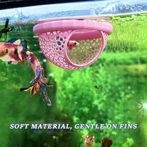4 Pcs Betta Fish Tank Accessories, Hammock Decorations with Aquarium Decor, Suitable for Betta Fish Toys and Betta Hobbyists