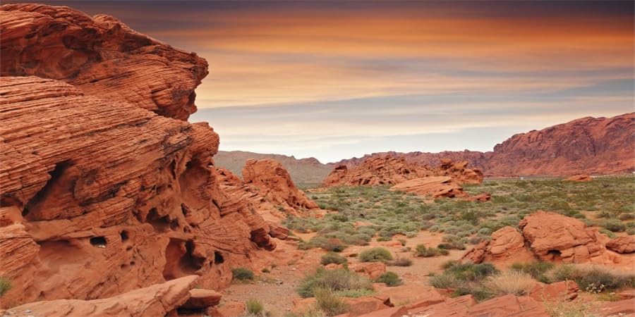 YongFoto Reptile Tank Terrarium Background 24x12 inch Desert Rocky Bush Thorns Western Wilderness Reptile Habitat Background Bearded Dragon Fish Tank Aquarium Polyester Backdrop - color: Orange-4, size: 24 x 12 in