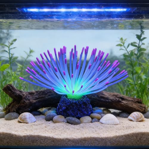 Fluorescent Rainbow Sea Urchin Aquarium Decor - Glows Under Blue Light, Weighted Silicone Ornament for Fish Tank with Swaying Spines, Saltwater & Freshwater, Vibrant Aquascape Centerpiece (Purple) - color: Purple