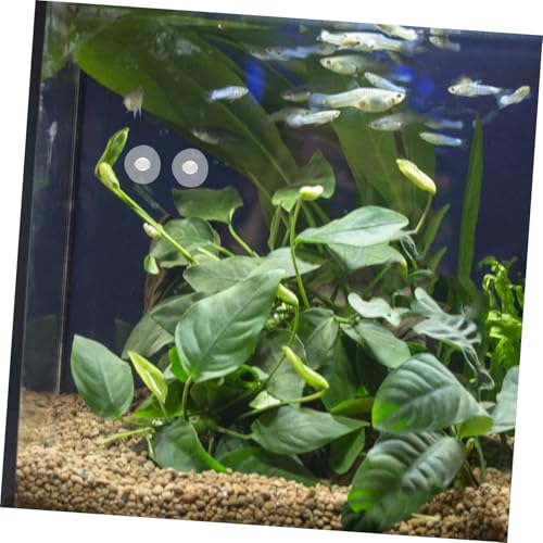 9pcs Aquarium Cup Clips Durable Suction Holders for Tubing Stable Inlet Outlet Support Easy Installation for Home Office Fish Tank Accessories - size: 3.30X3.30X2.60CM