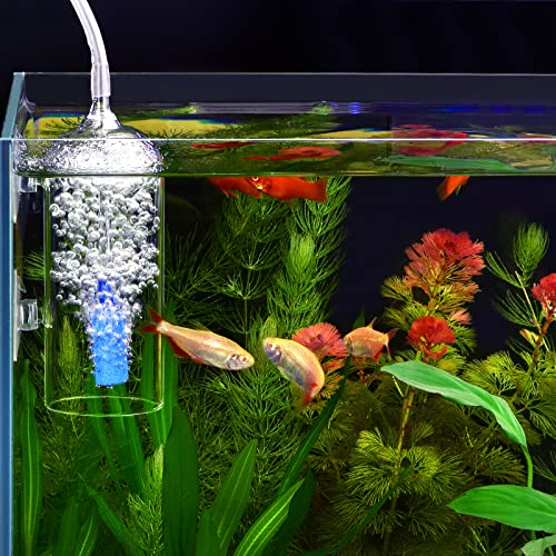 Aquarium Air Bubbler Glass Cup Air Diffuser Dissolved Oxygen Device with Water Tube, Sucker Air Stone, High Dissolved Oxygen for Fish Tank