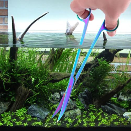 Operitacx Stainless Steel Aquarium Plant Scissors, Curved Aquatic Plant Trimming Tools for Fish Tank, Cleaning Scissor for Freshwater and Saltwater Aquariums