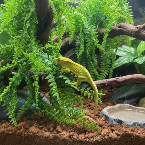 PINVNBY Reptile Plants Hanging Fake Vines Boston Climbing Terrarium Plant with Suction Cup for Bearded Dragons Lizards Geckos Snake Pets Hermit Crab and Tank Habitat Decorations (6 Pack) - size: 6PCS