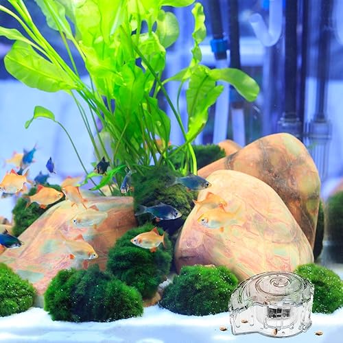 MiOYOOW Aquarium Planaria Catcher, Transparent Snail Trap Natural Capture Planaria Catch Box for Aquarium Fish Tank Planaria Tiny Snail