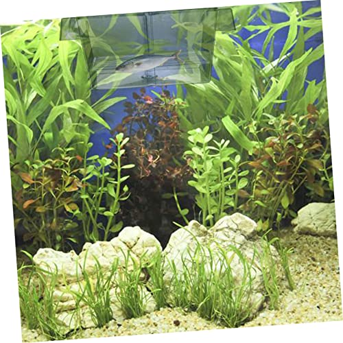 Kisangel 1pc Fish Breeding Box Cups Transparent Isolation Case for Aquarium Hatching and Acclimation Efficient Fish Breeder Box Optimal Water