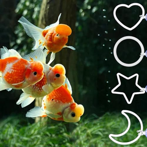 8Pcs Betta Exercise Ring with Suction-Cup, Betta Fish Toys, Beta Fish Aquariums Accessories, Fish Feeding Ring for Betta Tank