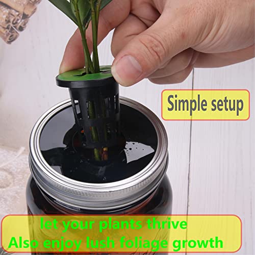 Kratky Lid Wide Mouth Hydroponic Lid Kratky Mason Jar Lid Urban Aquaculture Kratky Lid Insert with Urban Aquaculture Pods Includes 6 Kit (Black Version) (Black 24)