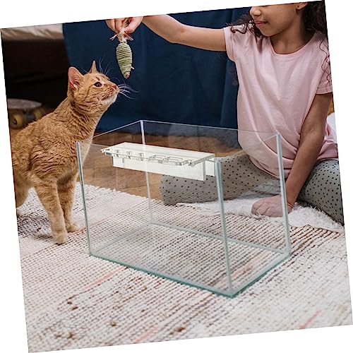 Aquarium Cleaning Tool Rack Fish Tank Tool Organizer Suitable for Scissors Tweezers Tongs Scrappers and Practical
