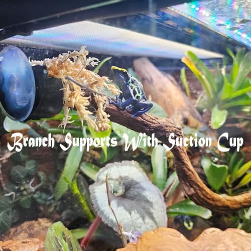 Branch Supports with Suction Cup for Gecko,Frog,Amphibian Lizard Snake Jumping Spider Climbing, Black Branch Holder for Reptile Terrarium Tank