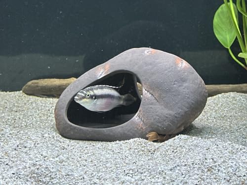 Plecoceramics Cichlid Stone Decoration - Aquarium cave for Cichlids, Betta, Small Fish - Fish Tank Hideway Decor - Betta Toys Hideout Stones House (Magma Stone Large)