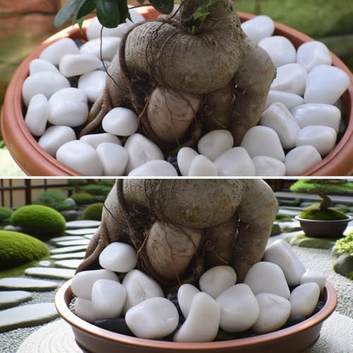 40lbs White Rocks for Landscaping,2-3 Inch Decorative Pebbles for Plants,River Rocks for Backyard,Flower Beds, Indoor Fountains, Paths, Aquarium Vase,Outdoor Garden - color: Natural White, size: 2-3 Inch(40LB)