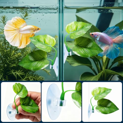CousDUoBe 2 Pack Betta Fish Leaf Pad Improves Betta's Health by Simulating the Natural Habitat - Natural, Organic, Comfortable Rest Area for Fish Aquarium Ornaments - size: 2 Pack