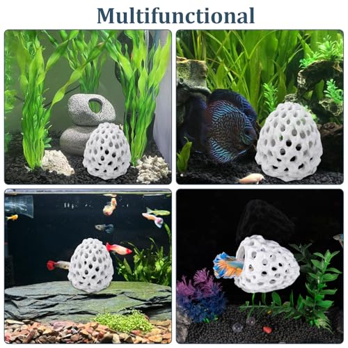 Chedin Plastic Shrimp Dome Hide with Suction Cup - Ideal Aquarium Ornament for Shrimp, Guppy & Betta Fish Hiding and Resting, White